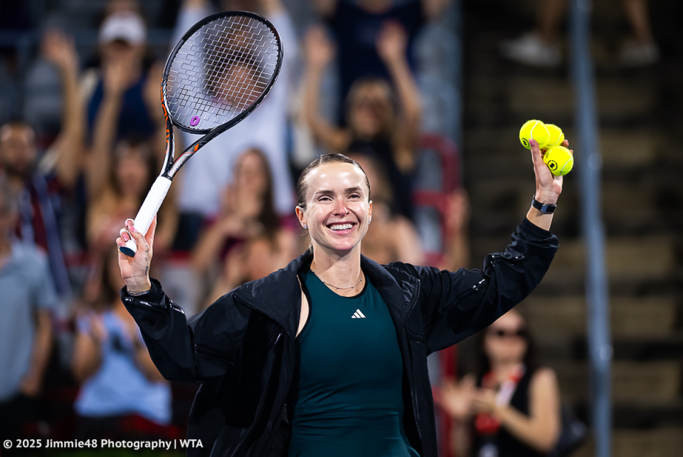 年以全胜战, 年闯入法网, img 年以全胜战, 年闯入法网, img