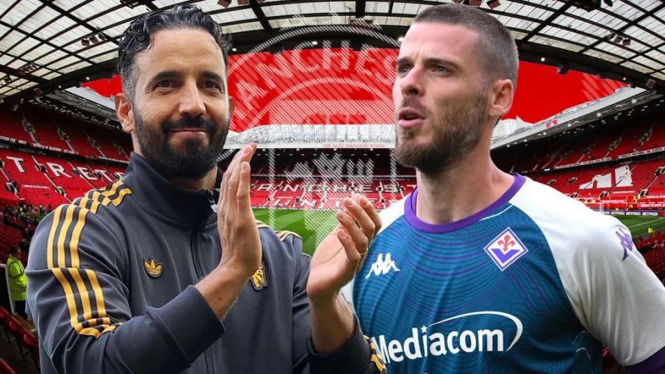 重返老特拉 重返老特拉