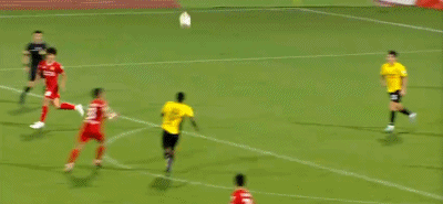 广东广州豹, net, net 广东广州豹, net, net