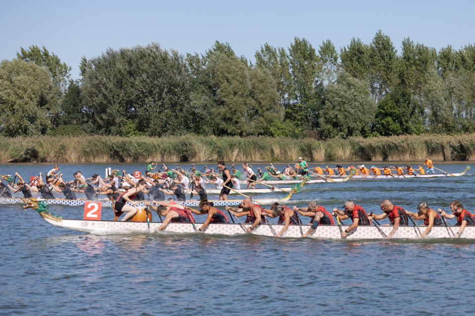 KP, 奥蒂洛摄, https KP, 奥蒂洛摄, https